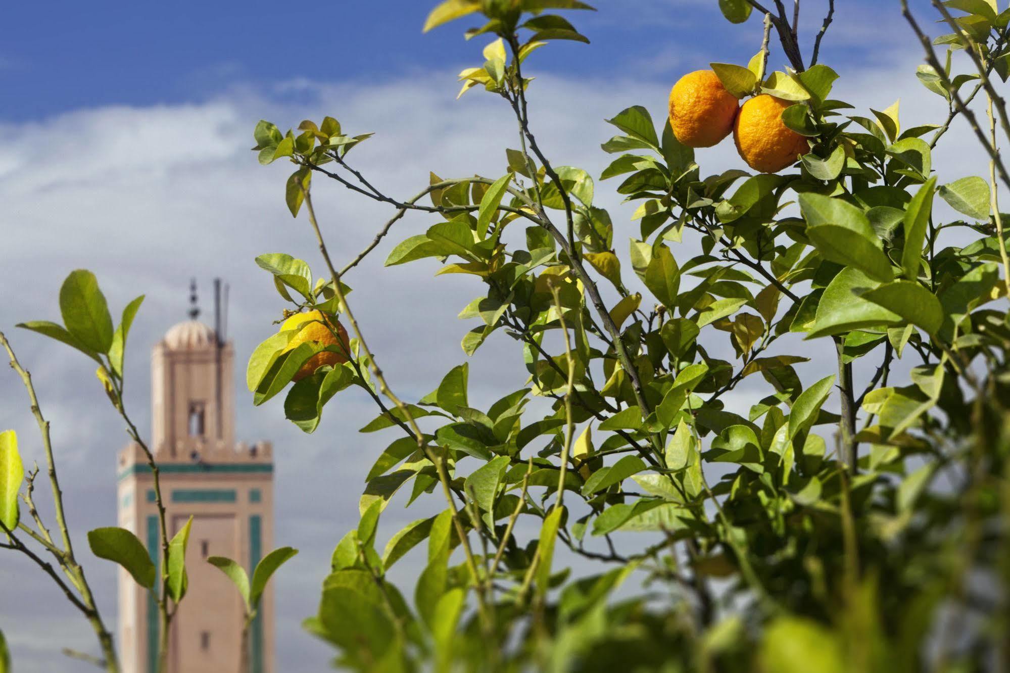Hotel Le Farnatchi Marrakesh Esterno foto